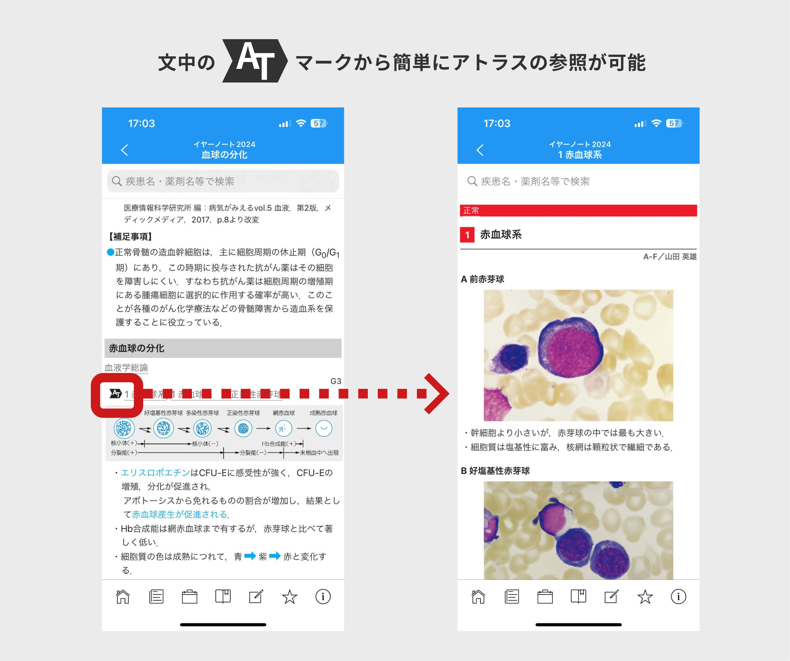 アプリケーション版 - 「yearnote2025」